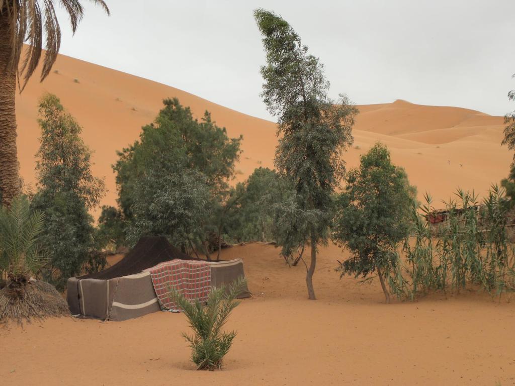 Hotel Chez Tonton Merzouga Exterior foto